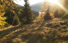 Drusatscha_Richtung Davos_Herbst_12